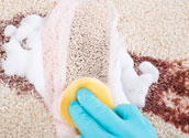 Carpet Cleaning